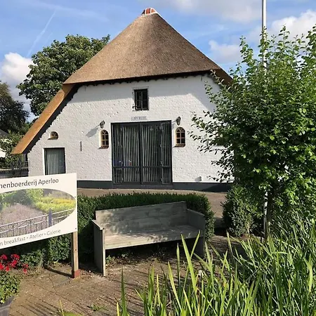 Bloemenboerderij-aperloo * 't Harde