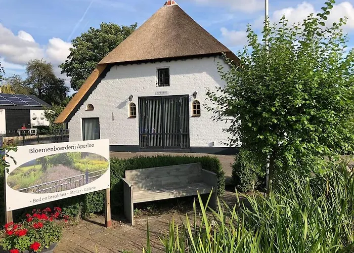 Bloemenboerderij-aperloo * 't Harde