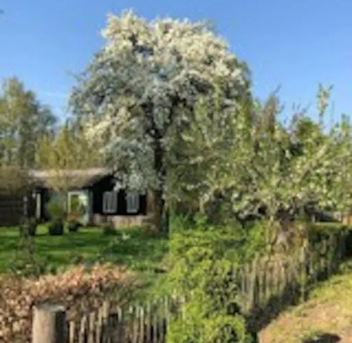 Apartment Bloemenboerderij-aperloo