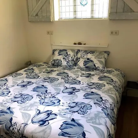 Bloemenboerderij-aperloo