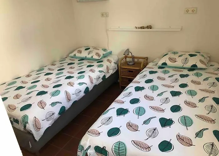 Bloemenboerderij-aperloo