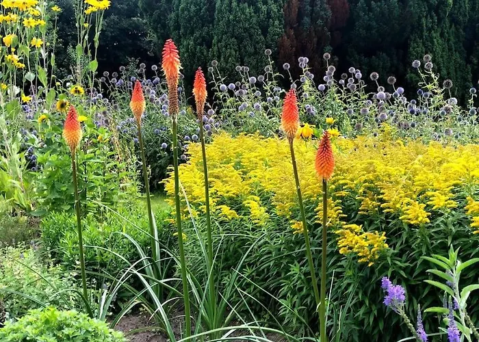 Bloemenboerderij-aperloo * 't Harde