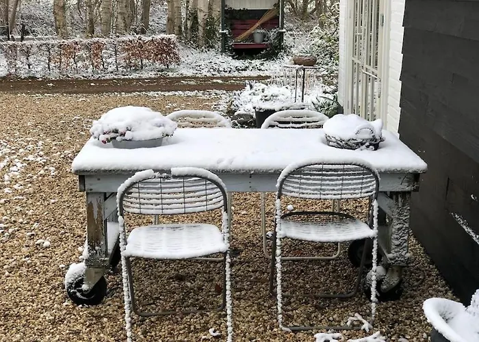 Daire Bloemenboerderij-aperloo *